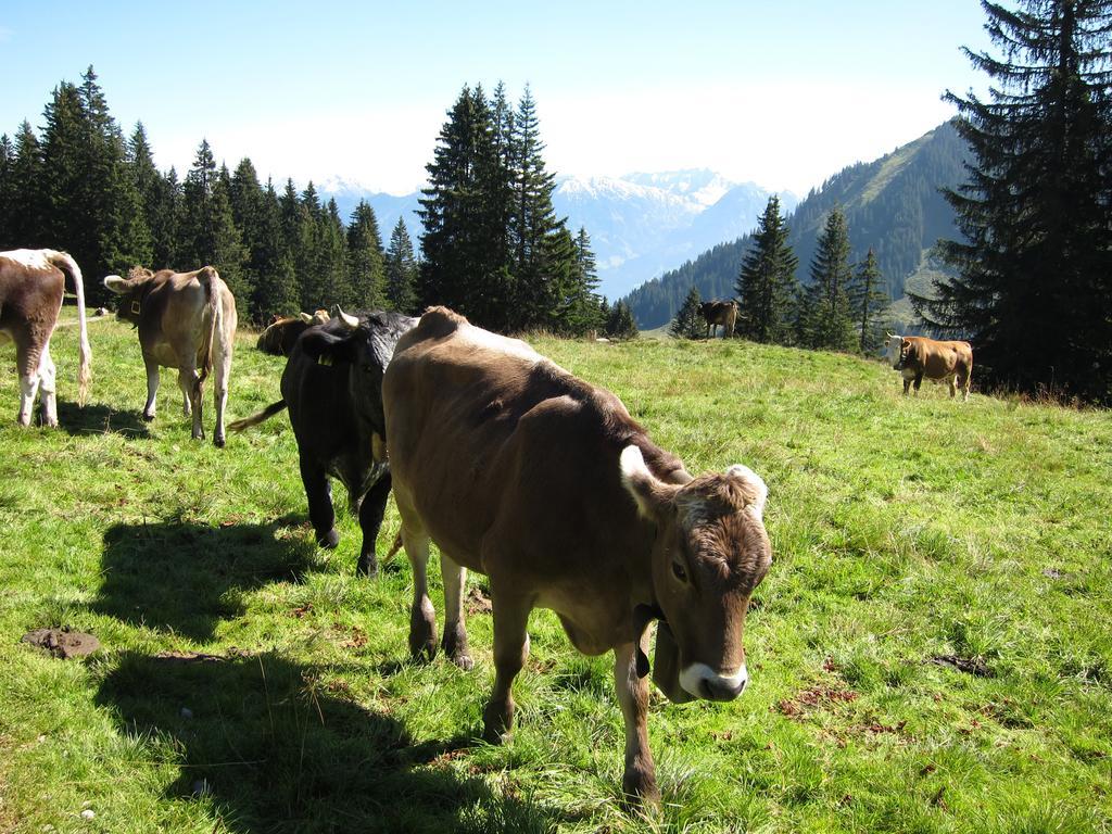 Haus Aigner Apartman Fischen im Allgaeu Szoba fotó